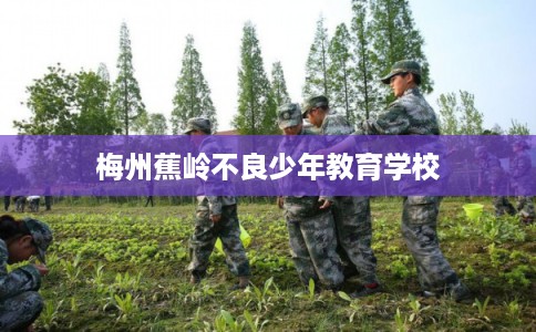 梅州蕉岭不良少年教育学校