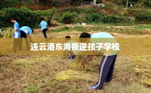 连云港东海叛逆孩子学校