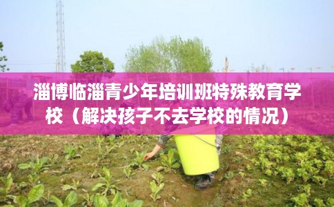 淄博临淄青少年培训班特殊教育学校（解决孩子不去学校的情况）