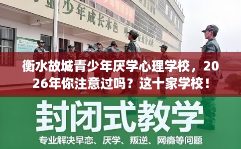 衡水故城青少年厌学心理学校，2026年你注意过吗？这十家学校！