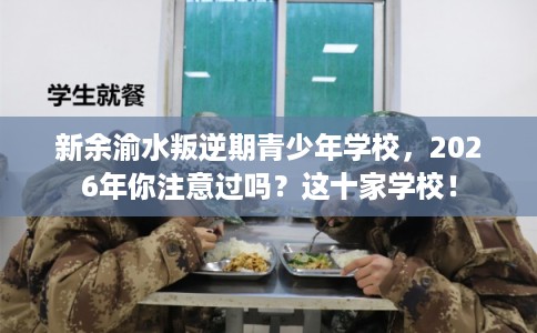 新余渝水叛逆期青少年学校，2026年你注意过吗？这十家学校！