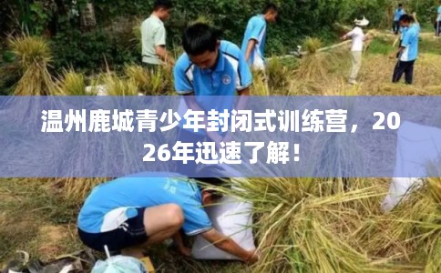 温州鹿城青少年封闭式训练营，2026年迅速了解！