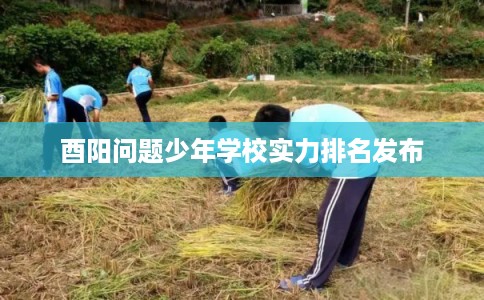 酉阳问题少年学校实力排名发布