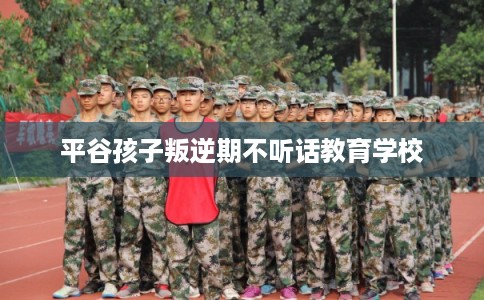 平谷孩子叛逆期不听话教育学校 平谷孩子叛逆期不听话教育学校