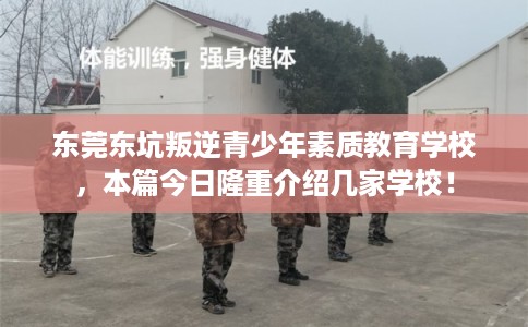 东莞东坑叛逆青少年素质教育学校，本篇今日隆重介绍几家学校！