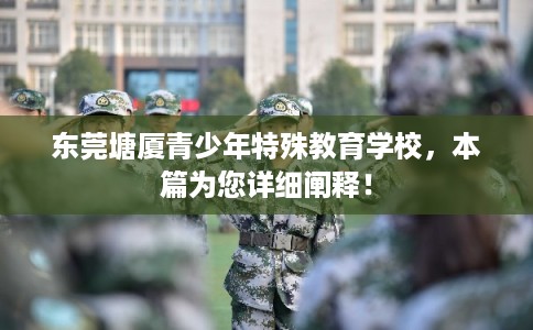 东莞塘厦青少年特殊教育学校，本篇为您详细阐释！
