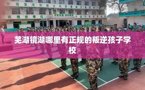 芜湖镜湖哪里有正规的叛逆孩子学校