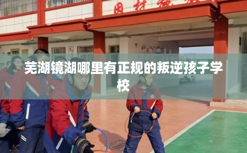 芜湖镜湖哪里有正规的叛逆孩子学校