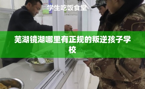 芜湖镜湖哪里有正规的叛逆孩子学校