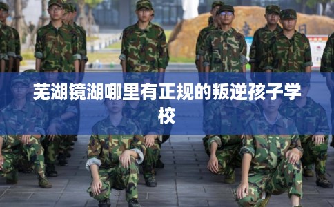 芜湖镜湖哪里有正规的叛逆孩子学校