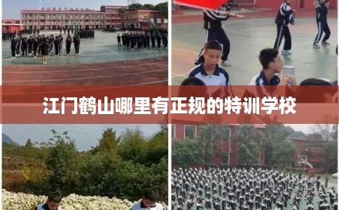 江门鹤山哪里有正规的特训学校