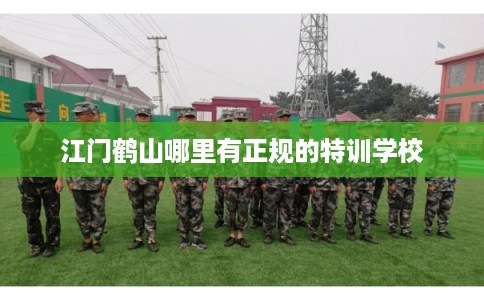 江门鹤山哪里有正规的特训学校
