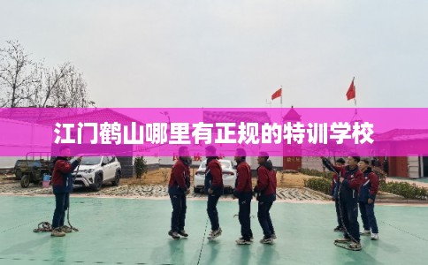 江门鹤山哪里有正规的特训学校