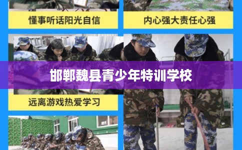 邯郸魏县青少年特训学校