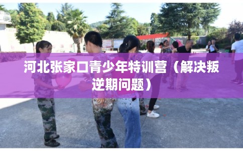 河北张家口青少年特训营（解决叛逆期问题）