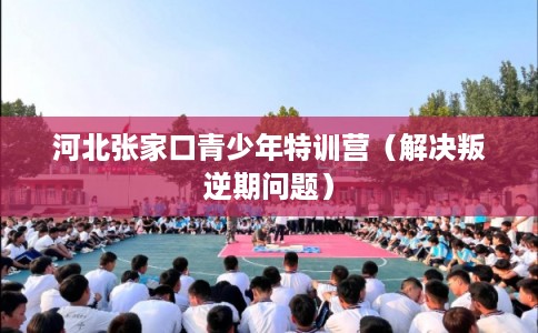 河北张家口青少年特训营（解决叛逆期问题）