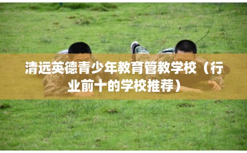 清远英德青少年教育管教学校（行业前十的学校推荐）