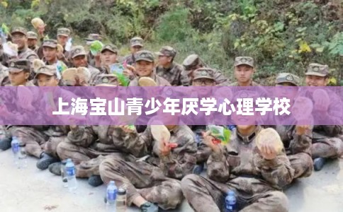 上海宝山青少年厌学心理学校 上海宝山青少年厌学心理学校