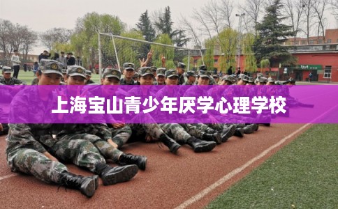 上海宝山青少年厌学心理学校 上海宝山青少年厌学心理学校