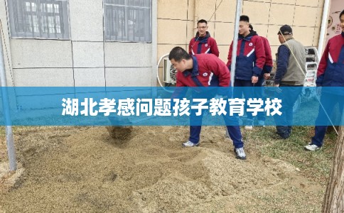 湖北孝感问题孩子教育学校