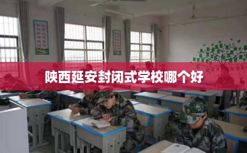 陕西延安封闭式学校哪个好