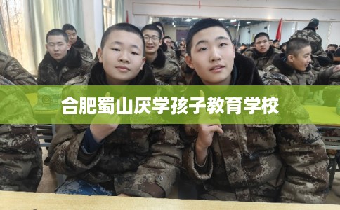 合肥蜀山厌学孩子教育学校 合肥蜀山厌学孩子教育学校