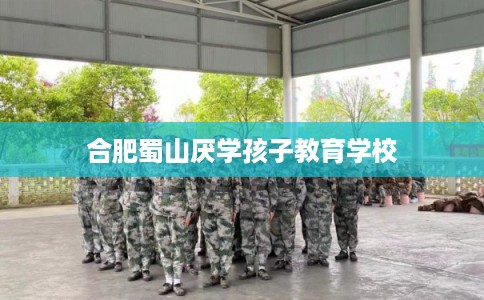 合肥蜀山厌学孩子教育学校