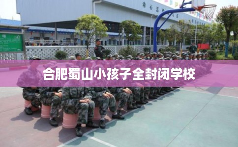 合肥蜀山小孩子全封闭学校
