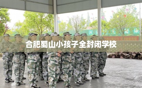 合肥蜀山小孩子全封闭学校