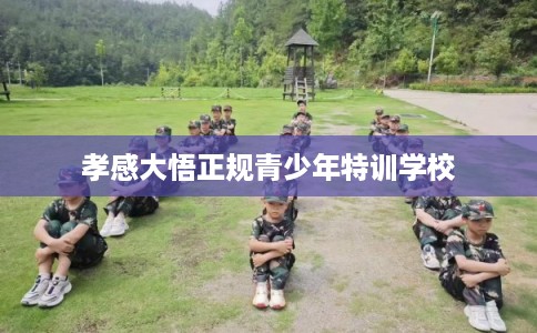 孝感大悟正规青少年特训学校
