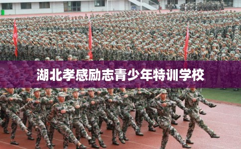 湖北孝感励志青少年特训学校 湖北孝感励志青少年特训学校