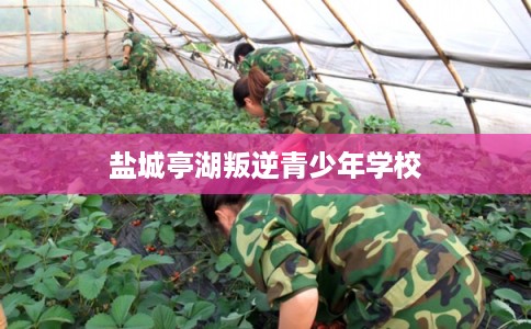 盐城亭湖叛逆青少年学校 盐城亭湖叛逆青少年学校