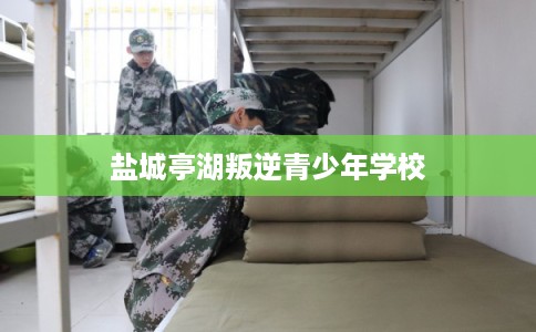 盐城亭湖叛逆青少年学校