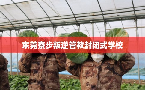东莞寮步叛逆管教封闭式学校