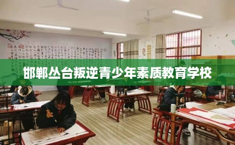 邯郸丛台叛逆青少年素质教育学校 邯郸丛台叛逆青少年素质教育学校