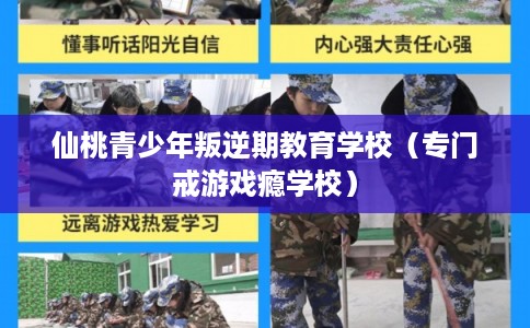 仙桃青少年叛逆期教育学校（专门戒游戏瘾学校）