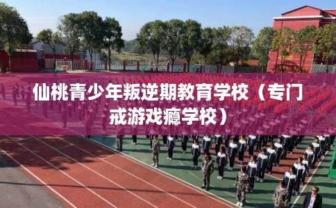 仙桃青少年叛逆期教育学校（专门戒游戏瘾学校）