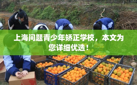 上海问题青少年矫正学校，本文为您详细优选！