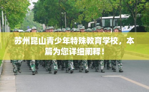 苏州昆山青少年特殊教育学校，本篇为您详细阐释！