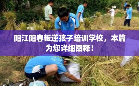 阳江阳春叛逆孩子培训学校，本篇为您详细阐释！