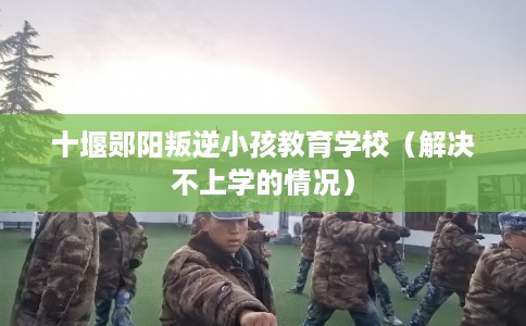十堰郧阳叛逆小孩教育学校（解决不上学的情况）