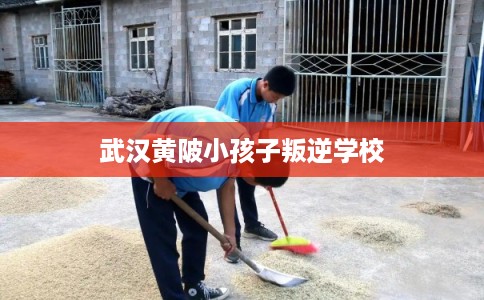 武汉黄陂小孩子叛逆学校