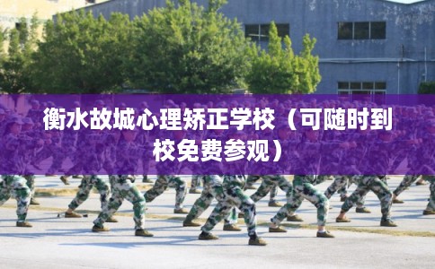 衡水故城心理矫正学校（可随时到校免费参观）