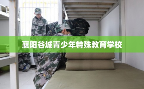 襄阳谷城青少年特殊教育学校