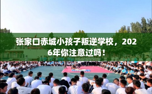 张家口赤城小孩子叛逆学校，2026年你注意过吗！