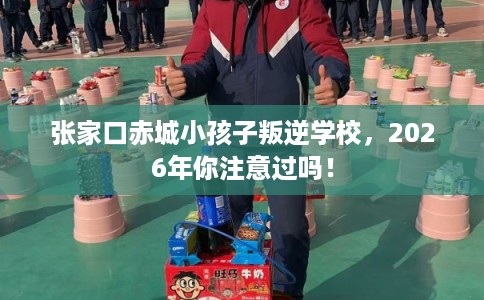 张家口赤城小孩子叛逆学校，2026年你注意过吗！
