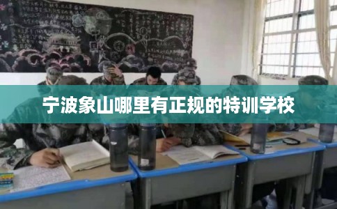 宁波象山哪里有正规的特训学校