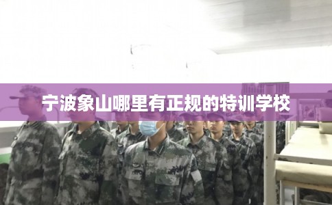 宁波象山哪里有正规的特训学校