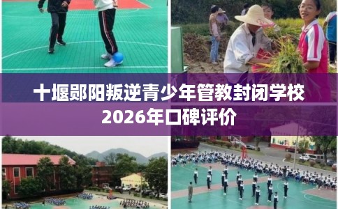 十堰郧阳叛逆青少年管教封闭学校2026年口碑评价