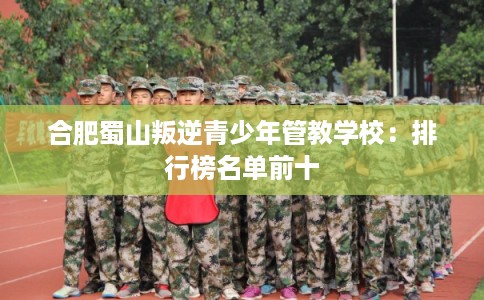 合肥蜀山叛逆青少年管教学校：排行榜名单前十